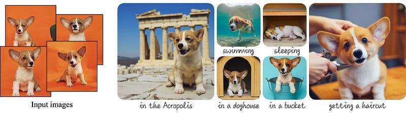 Imagem mostrando os recursos do Dreambooth. Um cachorro é adicionado a diferentes imagens.